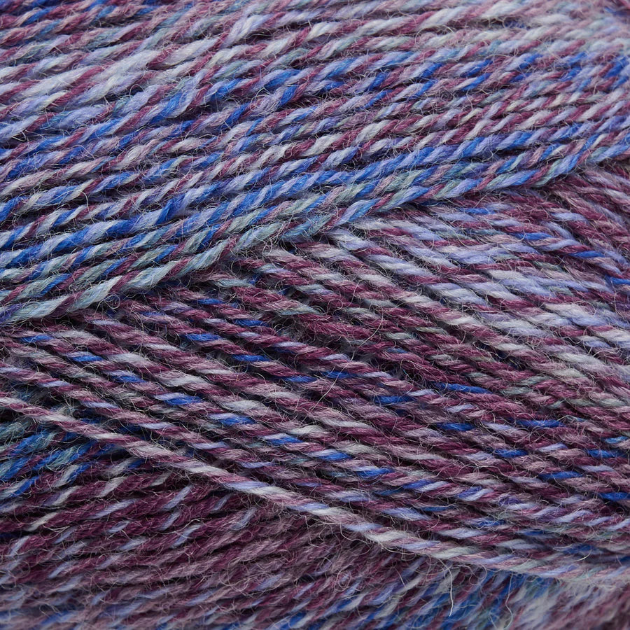 Mayflower - ANYDAY Step by Step 3